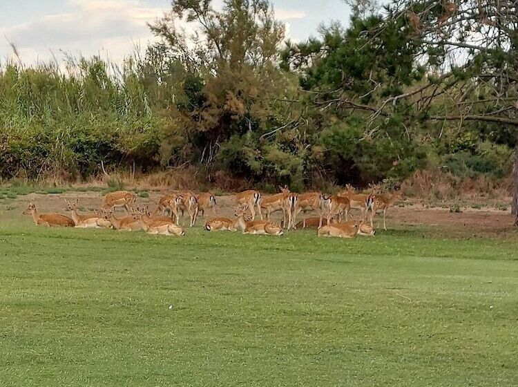 Bed and Breakfast La Foresteria Del Golf