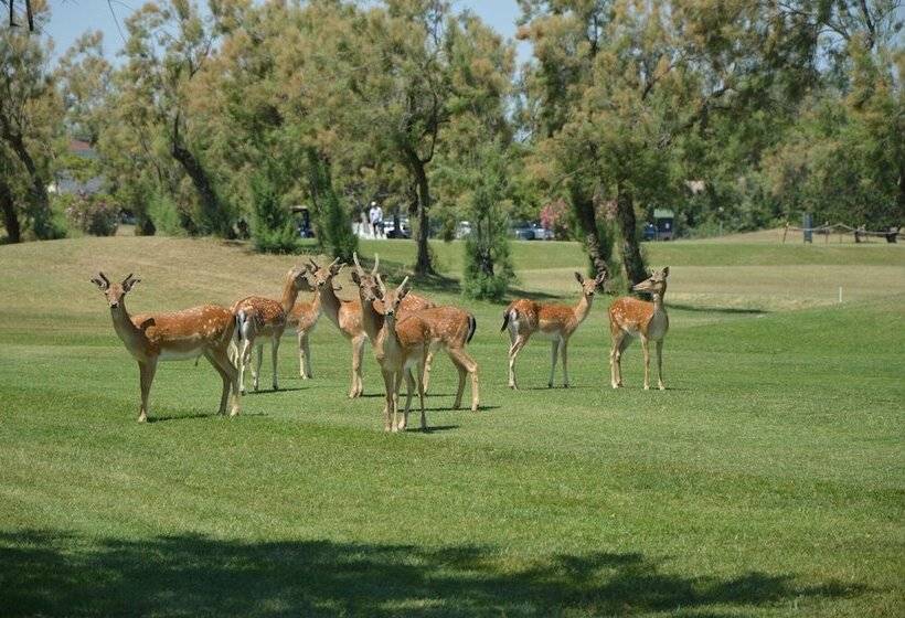 Bed and Breakfast La Foresteria Del Golf