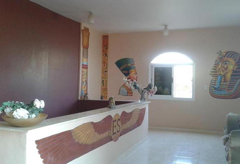 هتل Egyptian Sunrise