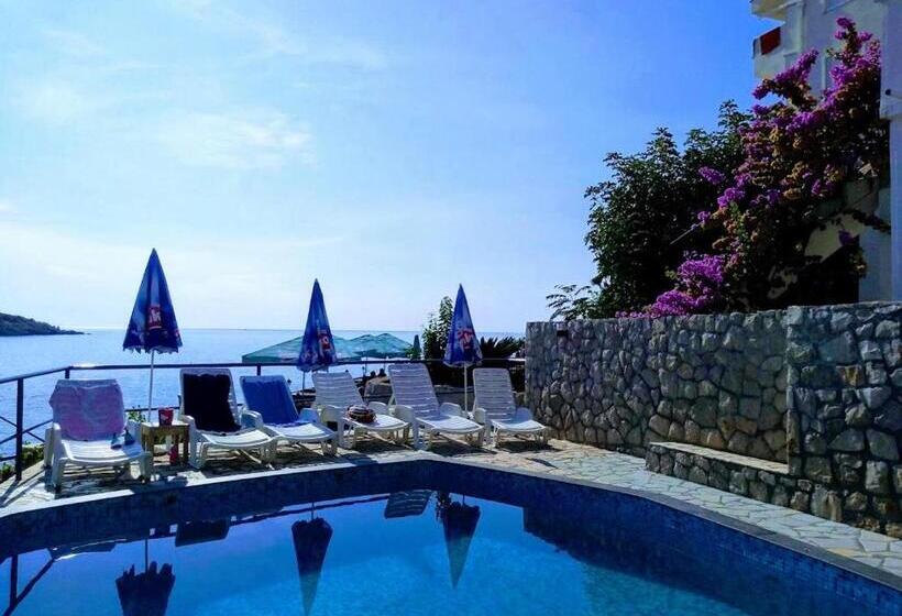 هتل Villa Victoria