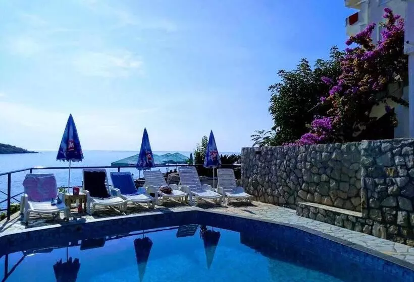 هتل Villa Victoria