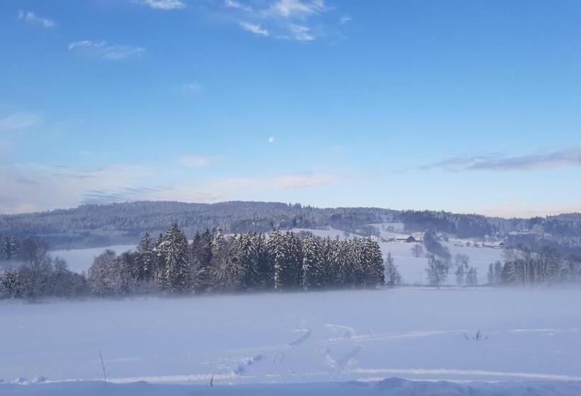 Pensionat Zum Bergbauern