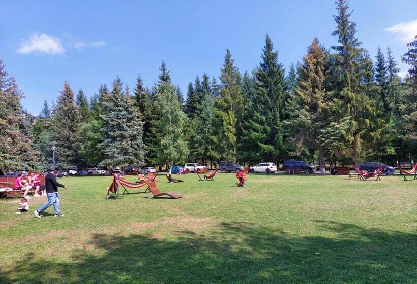 Bakuriani Inn Apartment #13