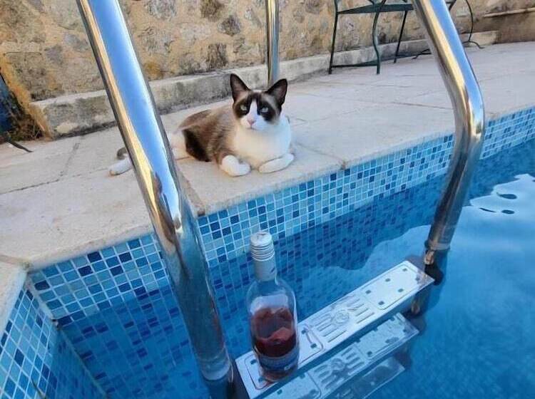 ベッドアンドブレックファースト La Rose Du Vent