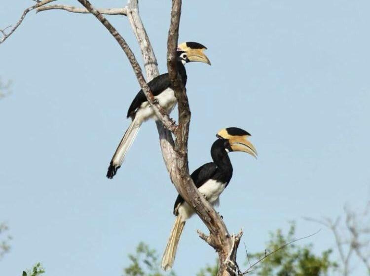 Bed and Breakfast Pam Land Eco Safari Resort