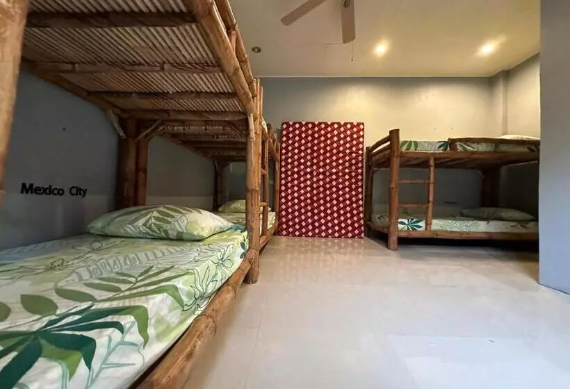 Lionfish Backpackers Hostel Malapascua