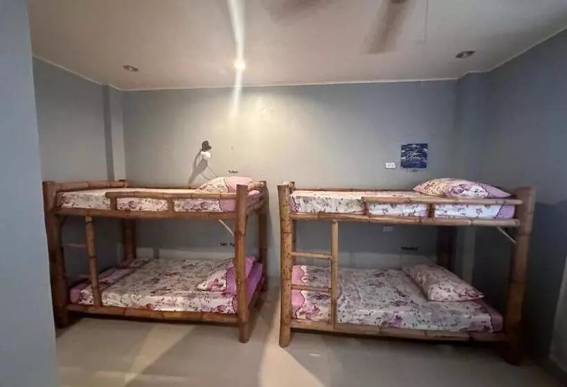 Lionfish Backpackers Hostel Malapascua