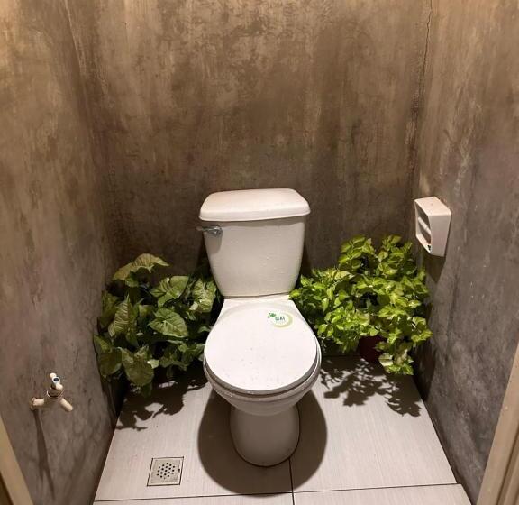 Lionfish Backpackers Hostel Malapascua