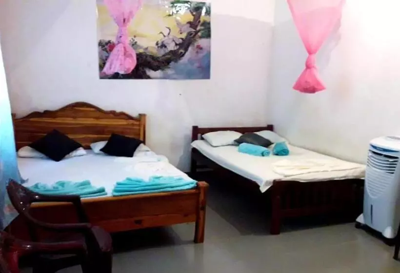 ペンション Habarana City Hostel