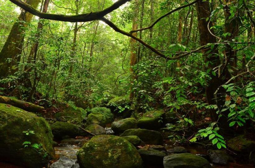 פנסיון Habarana City Hostel