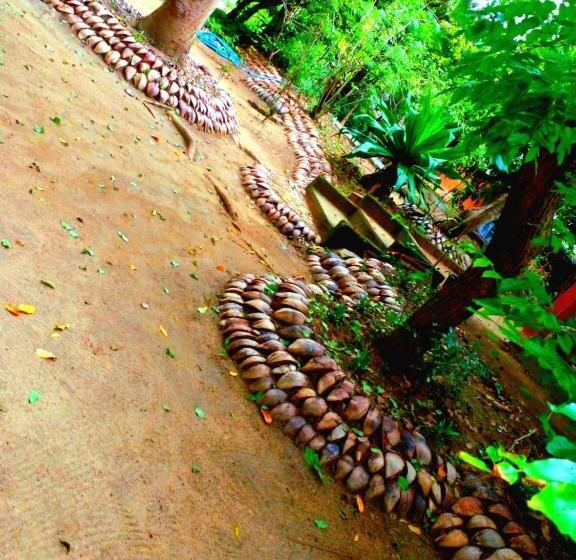 פנסיון Habarana City Hostel