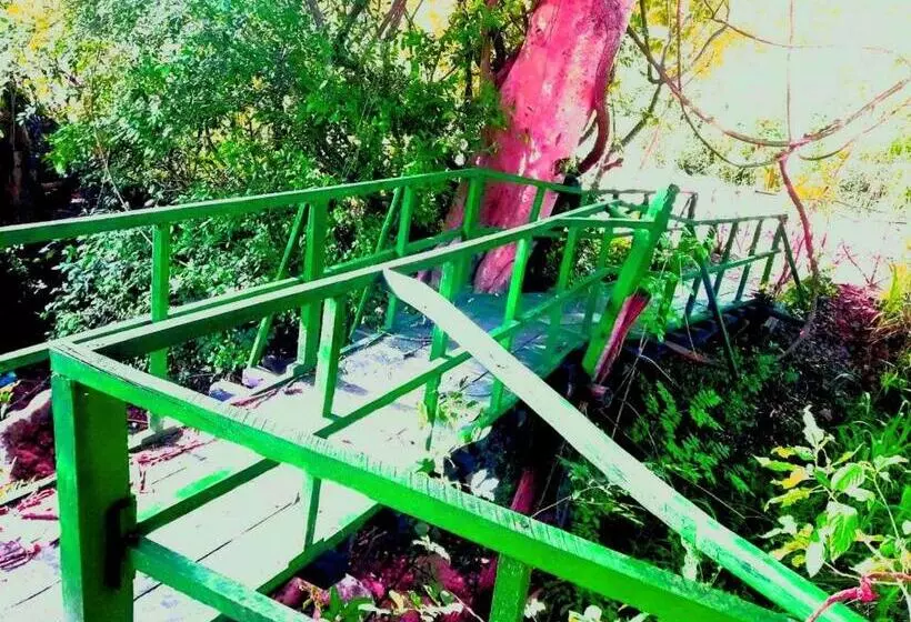 ペンション Habarana City Hostel