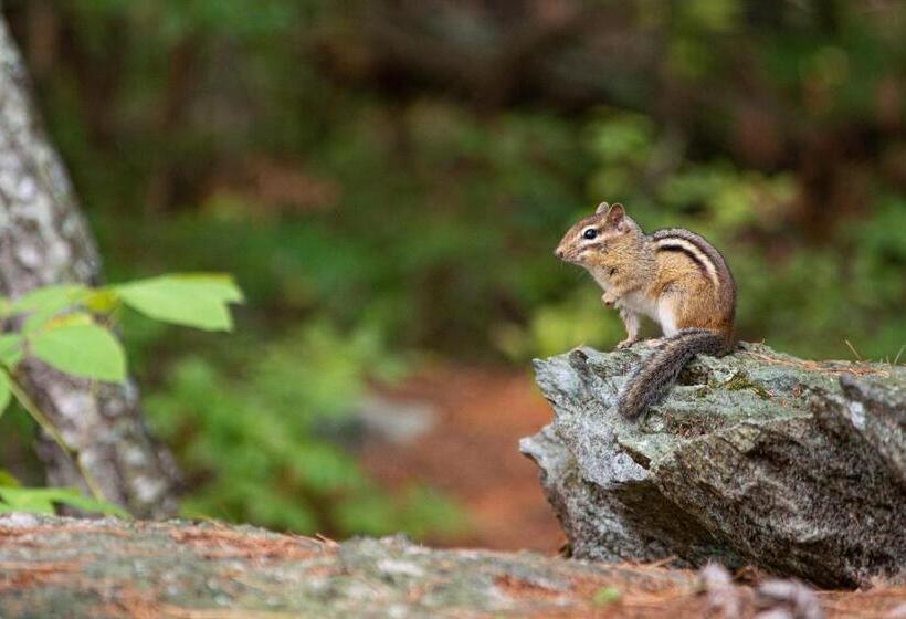פנסיון Habarana City Hostel