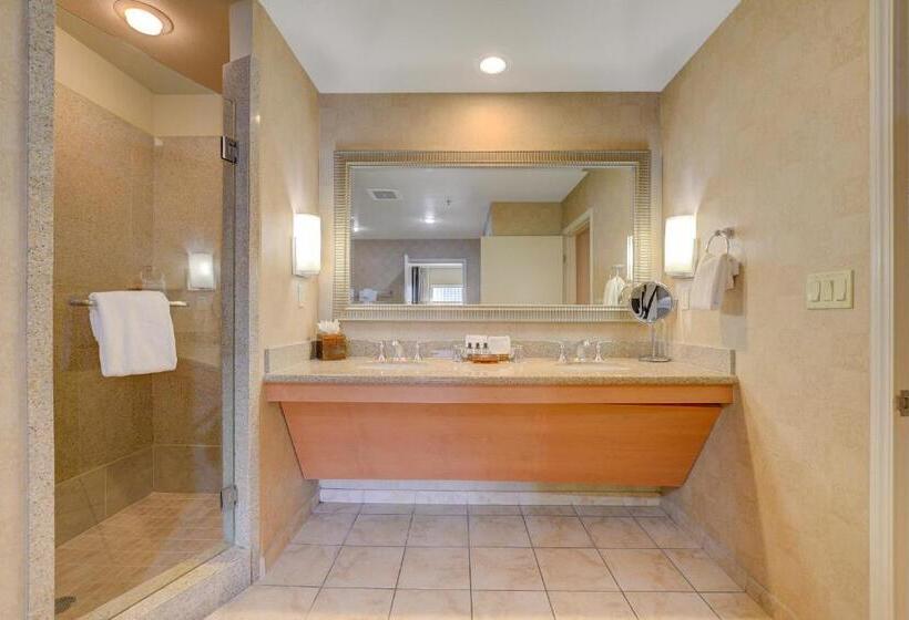 Princess Suite Platinum