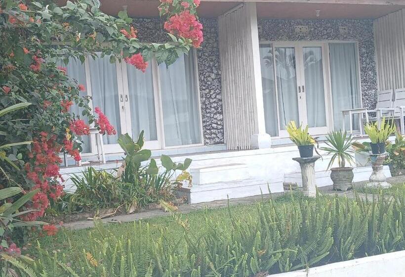 酒店 Gill Lake Batur