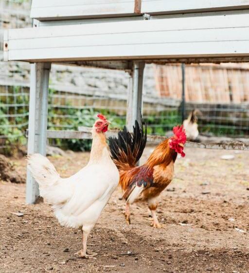 酒店 Girihill Farmhouse