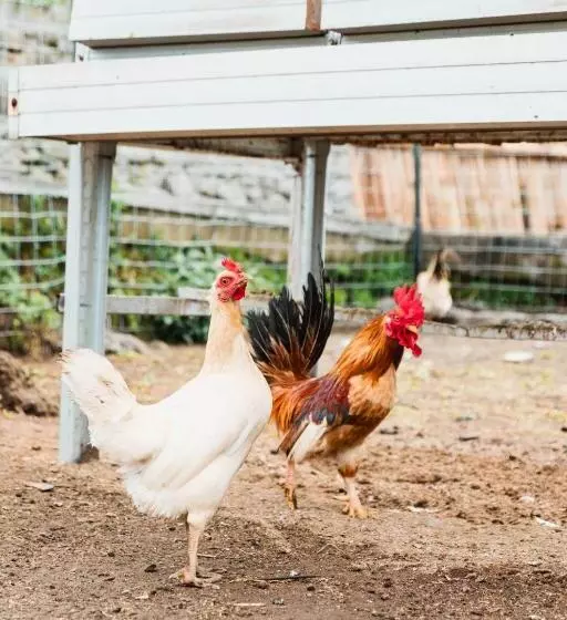 ホテル Girihill Farmhouse