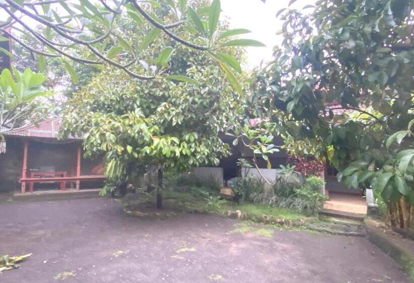 Отель Spot On 93517 De Lanang Homestay