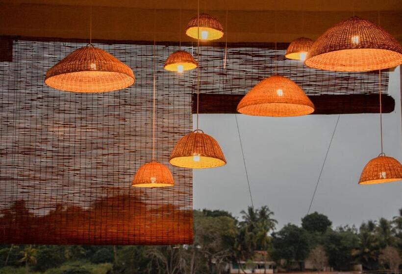 Отель Triton Dondra