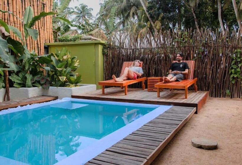 Отель Triton Dondra