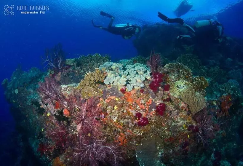 ペンション Latui Loft