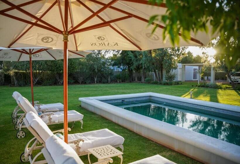 膳宿费 Vier Seisoene Gastehuis