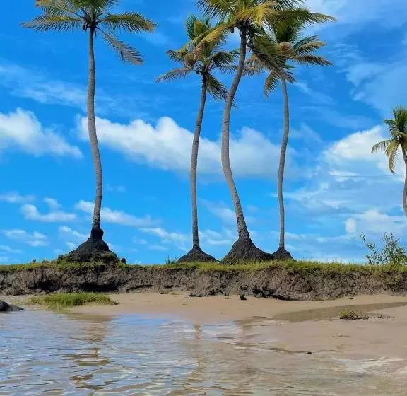 ユースホステル Pousada à Beira Do Mangue