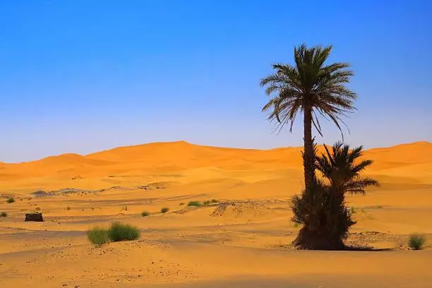 تختخواب و صبحانه Dar Ammar Hassilabiad Merzouga
