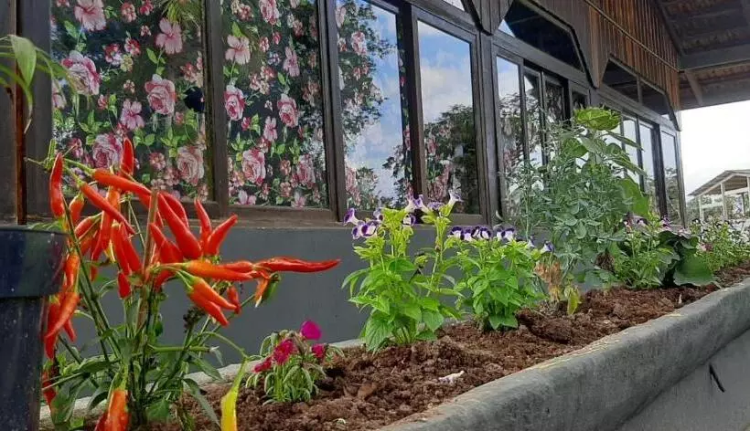 Hostel E Pousada Araquari