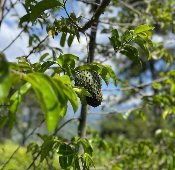 فندق Alojamiento Campestre En La Vega   A 1 Hora Exacta De Bogotá