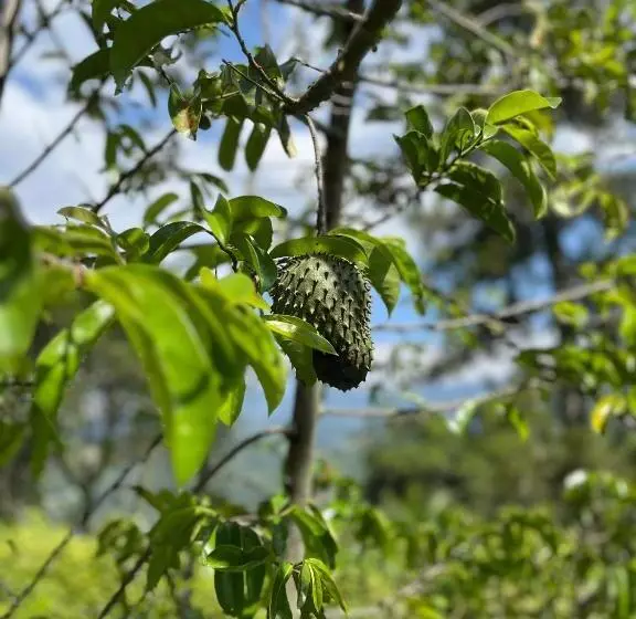 Hotelli Alojamiento Campestre En La Vega   A 1 Hora Exacta De Bogotá
