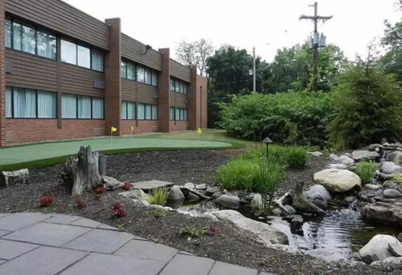 ホテル Suburban Studios