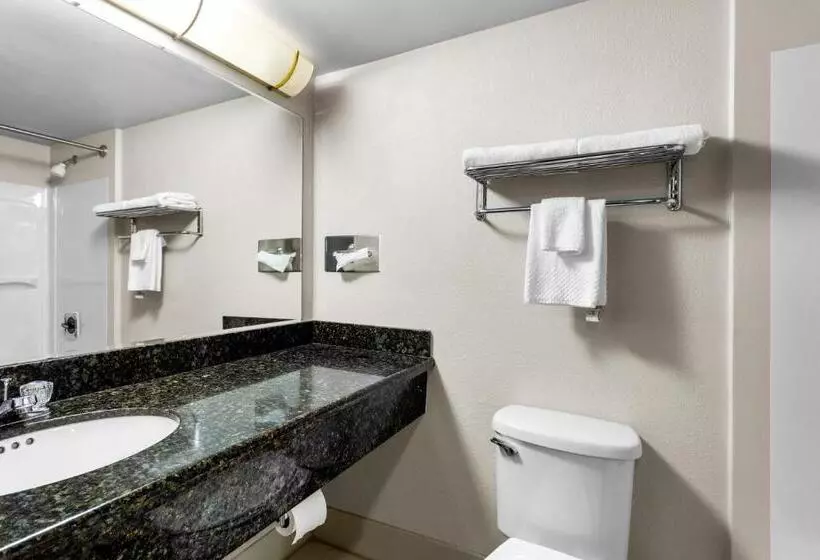 ホテル Suburban Studios