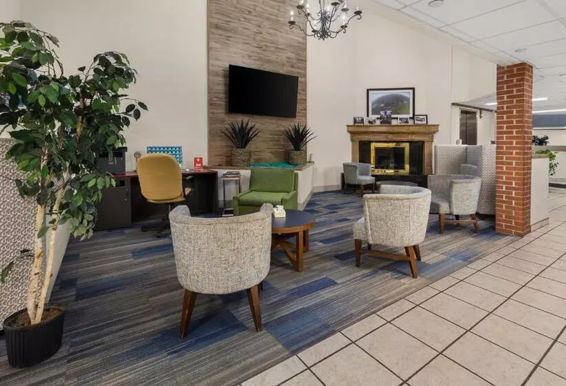 ホテル Suburban Studios