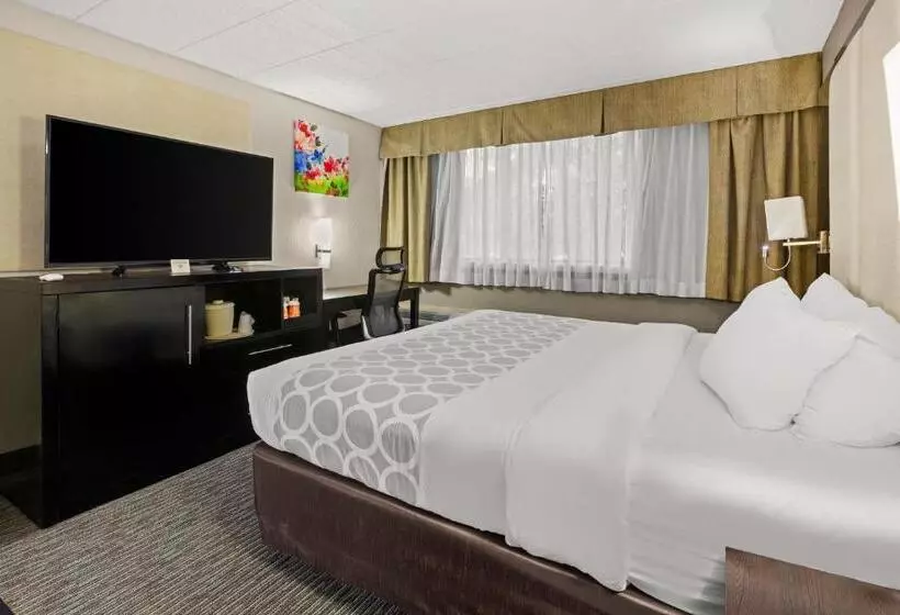 ホテル Suburban Studios