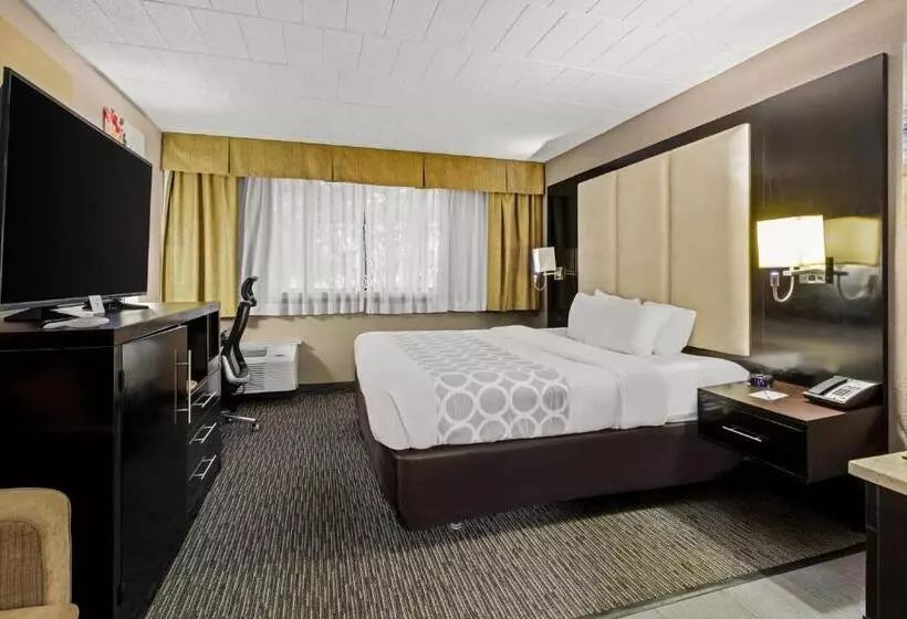 ホテル Suburban Studios