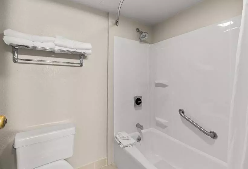 ホテル Suburban Studios