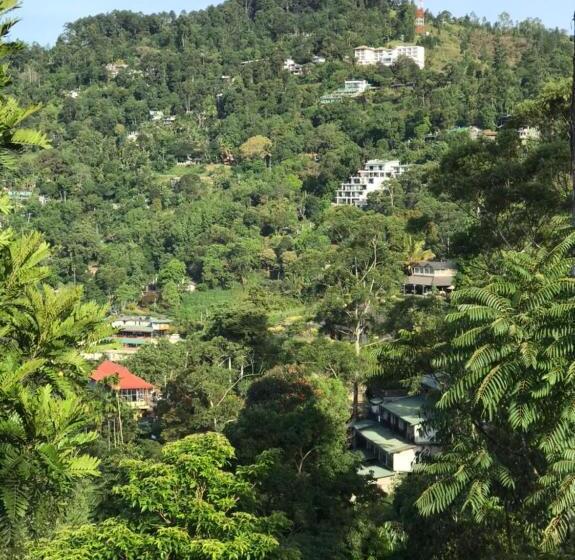 Pensión Duo Harmony