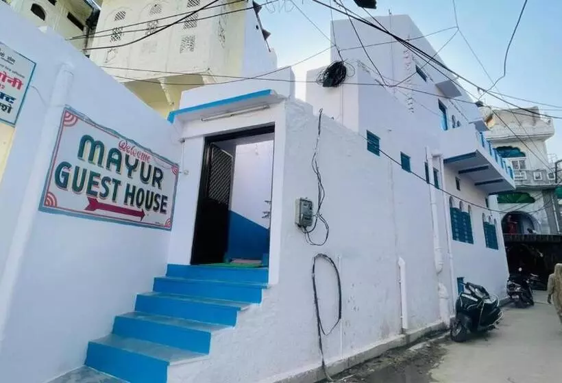 Pension  Guest House Inn
