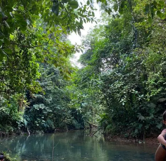 تختخواب و صبحانه Cabinas Corcovado Green Parrot, Los Planes Drake