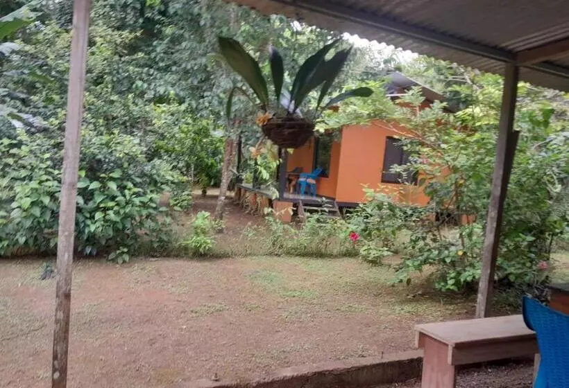 تختخواب و صبحانه Cabinas Corcovado Green Parrot, Los Planes Drake