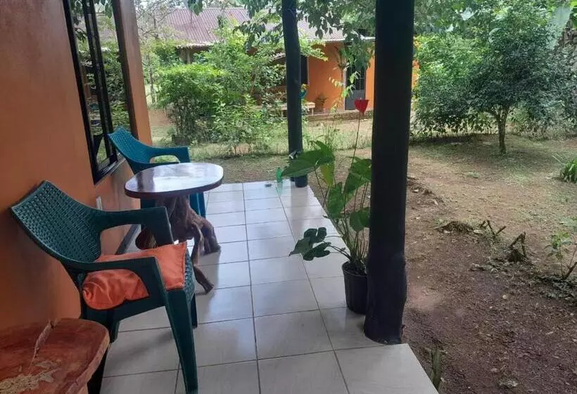 تختخواب و صبحانه Cabinas Corcovado Green Parrot, Los Planes Drake