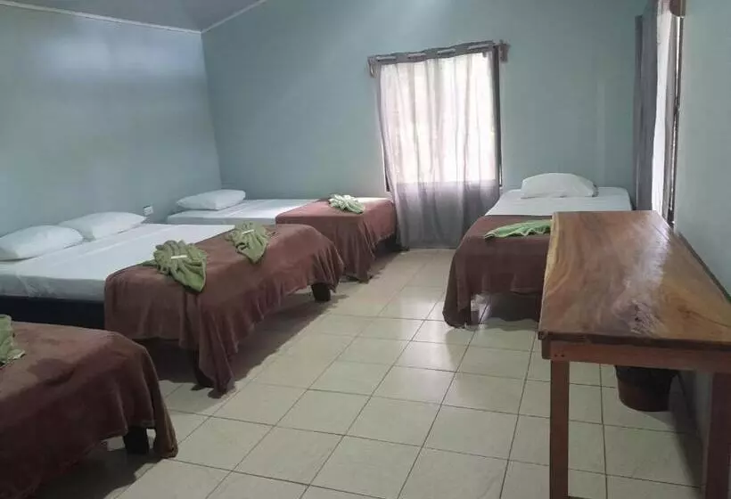 تختخواب و صبحانه Cabinas Corcovado Green Parrot, Los Planes Drake