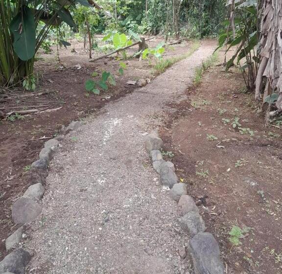 민박 Cabinas Corcovado Green Parrot, Los Planes Drake