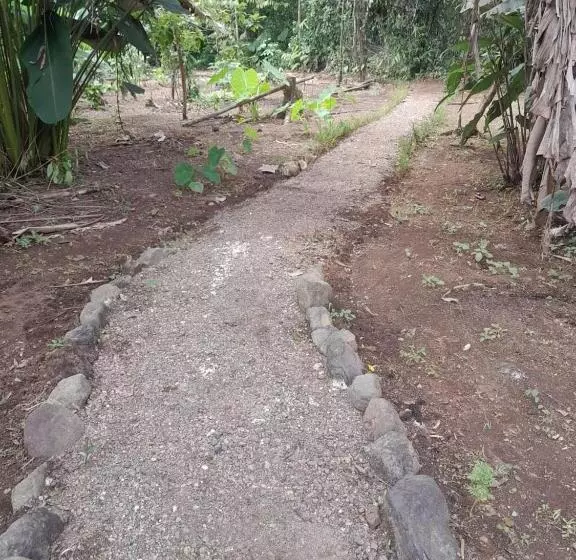 تختخواب و صبحانه Cabinas Corcovado Green Parrot, Los Planes Drake