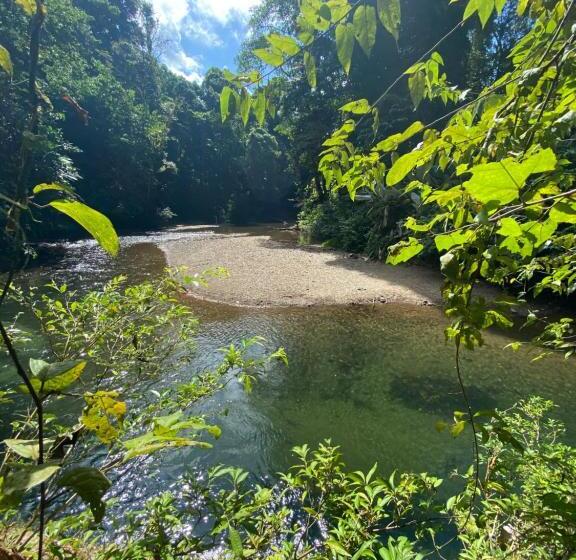 민박 Cabinas Corcovado Green Parrot, Los Planes Drake