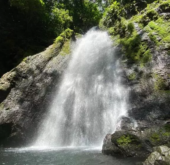 تختخواب و صبحانه Cabinas Corcovado Green Parrot, Los Planes Drake