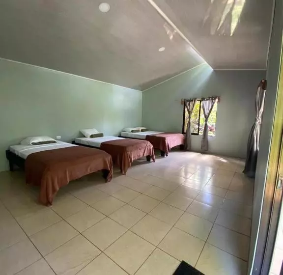 تختخواب و صبحانه Cabinas Corcovado Green Parrot, Los Planes Drake