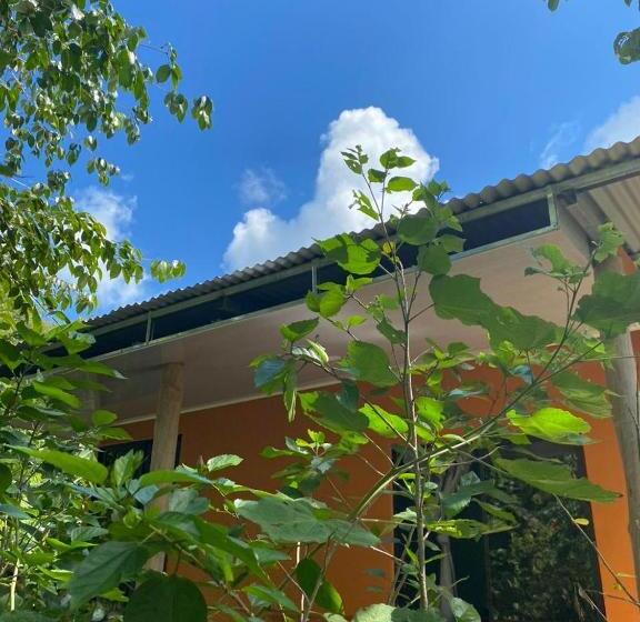 민박 Cabinas Corcovado Green Parrot, Los Planes Drake