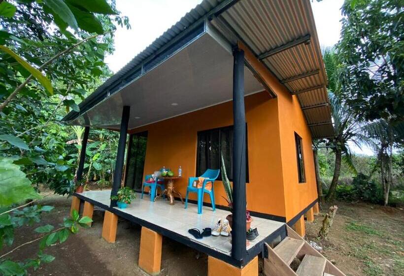 민박 Cabinas Corcovado Green Parrot, Los Planes Drake